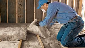 Best Eco-Friendly or Green Insulation Solutions  in St Bonifacius, MN